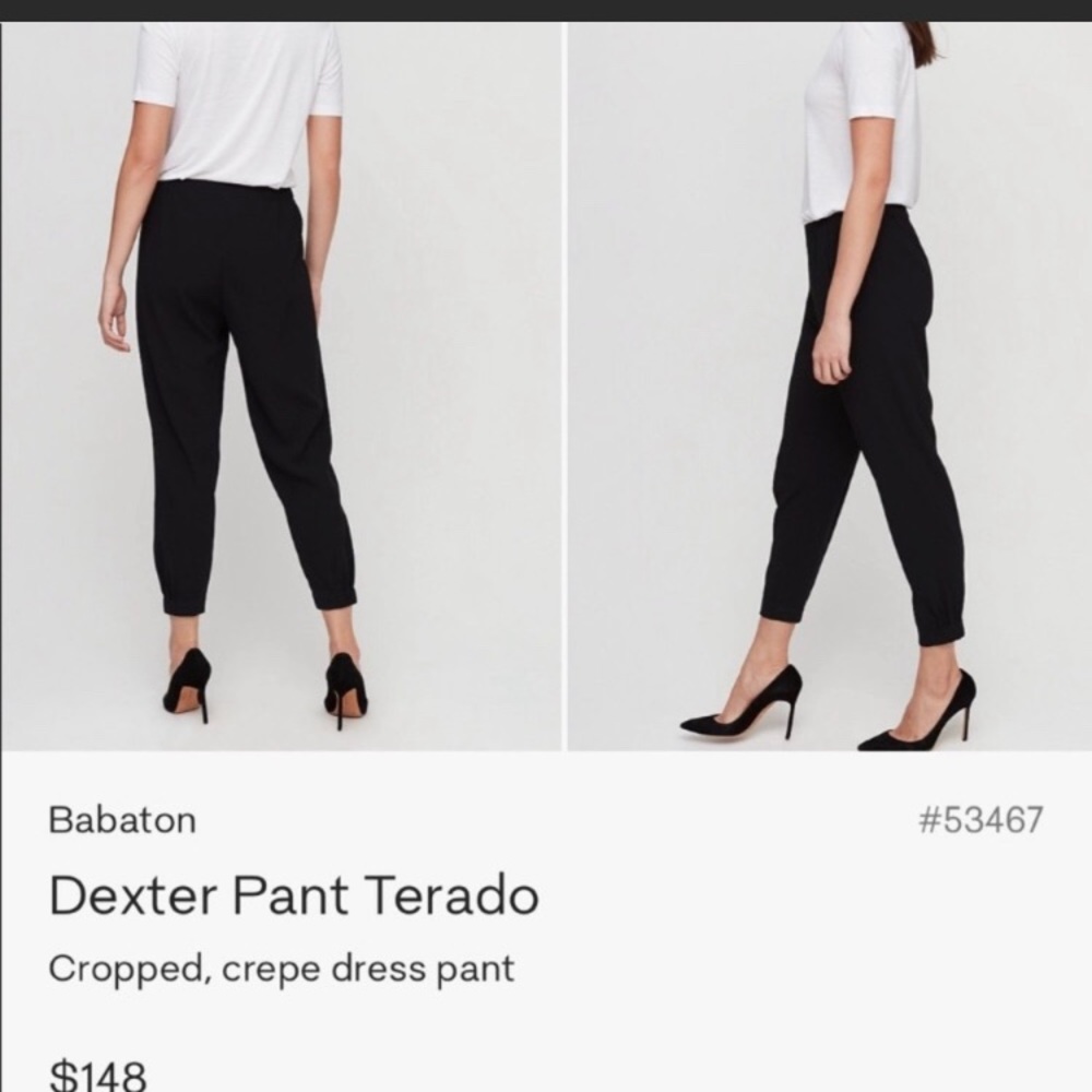 Aritzia Babaton Joggers